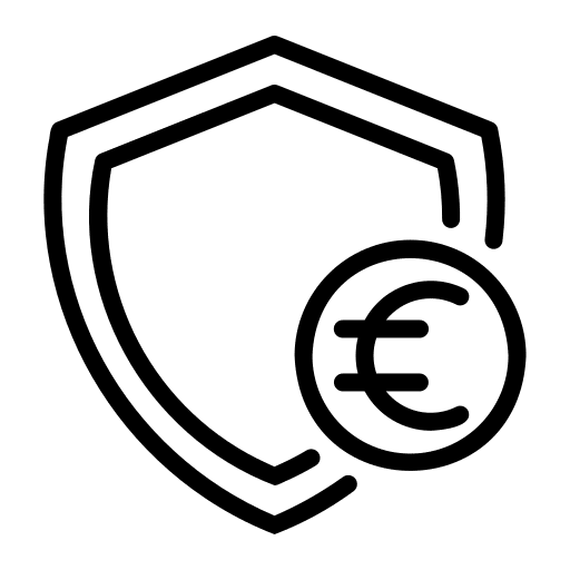 Shield icon with a euro symbol, representing currency protection.